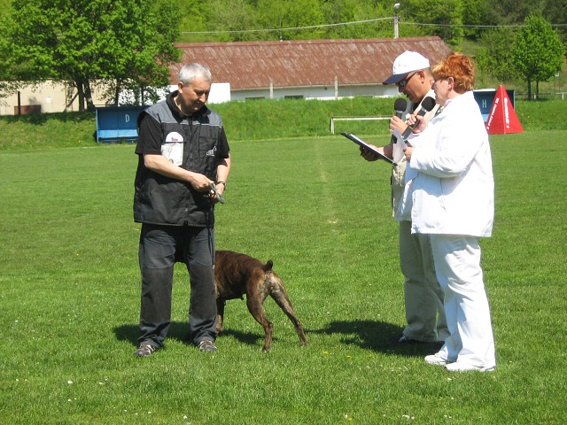 www.atibox.net * www.euroboxer.eu * www.boxergenealogia.eu